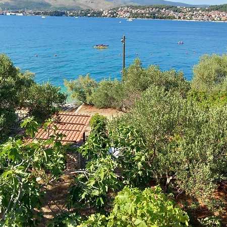 Bella * Τρογκίρ