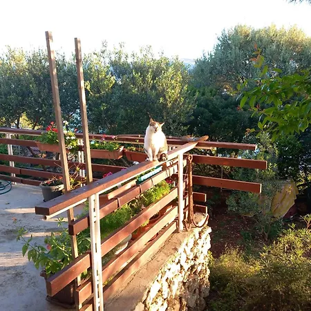 Apartmán Bella